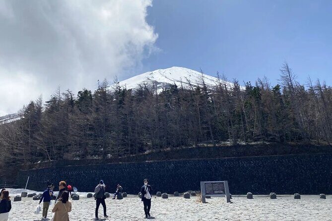 Private Mt Fuji and Hakone Day Tour from Tokyo - What Travelers Say