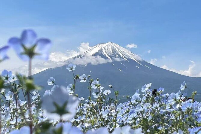 Private Mt Fuji Area Day Trip with English Speaking Driver - The Sum Up