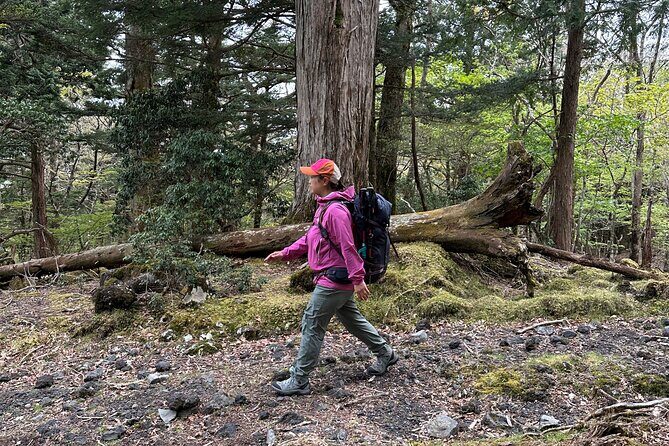 Private Mt Fuji Car and Hiking Experience from Gotemba - A Detailed Look at the Private Mt Fuji Car and Hiking Experience from Gotemba