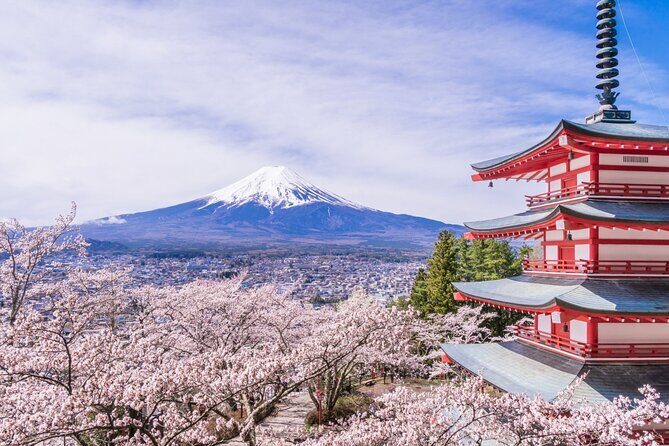 Private Mt. Fuji Custom Tour from Tokyo - A Close Look at the Itinerary and What to Expect