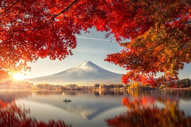 Private Mt. Fuji Day Trip from Tokyo with English-Speaking Driver - A Private Day Trip to Mt. Fuji from Tokyo: What You Need to Know