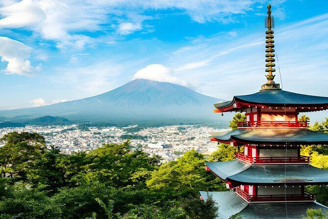 Private Mt. Fuji Day Trip from Tokyo with English-Speaking Driver - The Experience in Detail