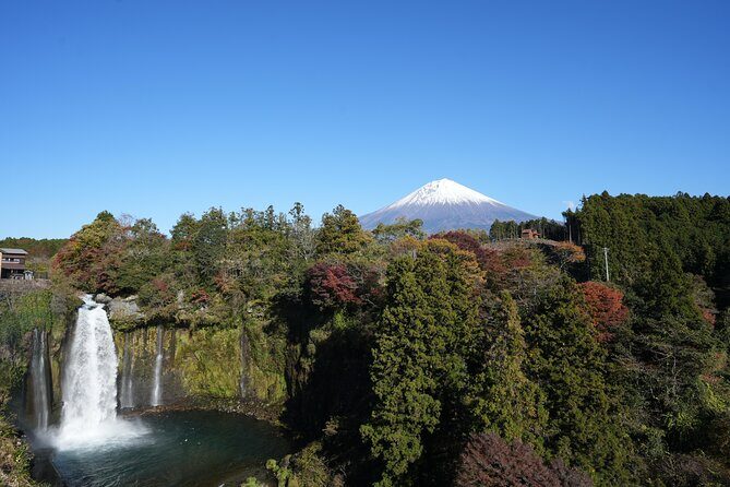 Private Mt. Fuji Day Trip from Tokyo with English-Speaking Driver - Who Is This Tour Best For?