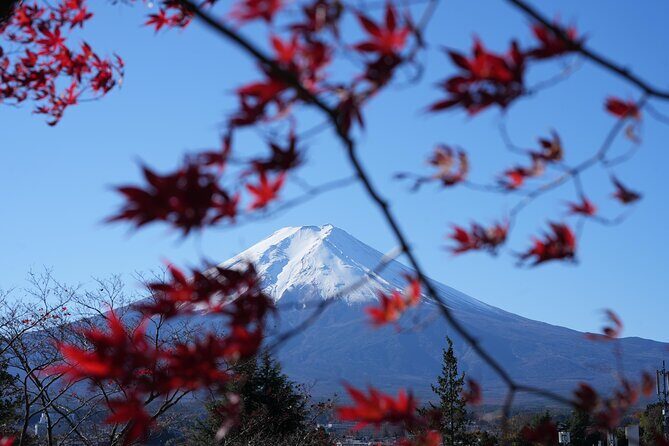 Private Mt. Fuji Day Trip from Tokyo with English-Speaking Driver - FAQ