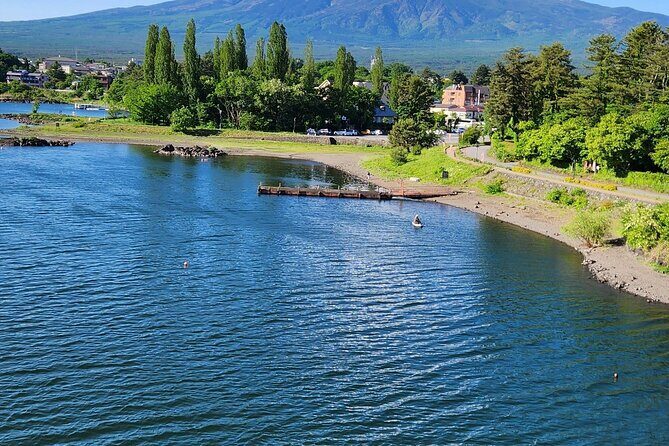 Private Mt. Fuji & Hakone Day Tour  Scenic Views & Hot Springs - Who Will Love This Tour?