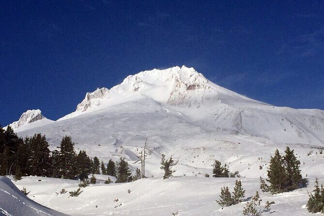 Private Mt Hood Waterfall Tour with Lunch and Wine included - Who Will Love This Tour?