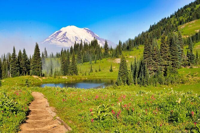 Private Mt Rainier National Park Tour in SUV - Experience the Majesty of Mount Rainier with a Private SUV Tour from Seattle