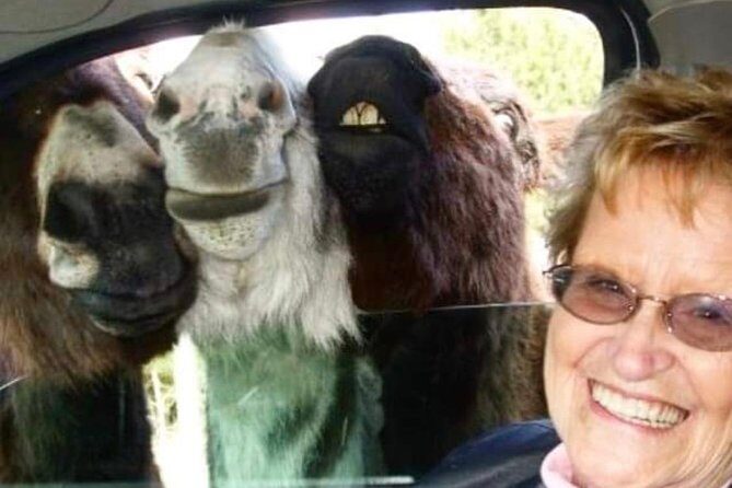 Private Mt Rushmore, Crazy Horse, Custer State Park Monument Tour - Who Is This Tour Best For?