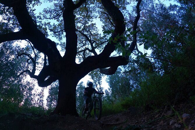 Private MTB Enduro Trail Tour in Sintra - Cascais Natural park - Key Points