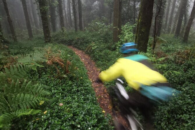 Private MTB Enduro Trail Tour in Sintra - Cascais Natural park - The Sum Up: Is This the Right Adventure for You?
