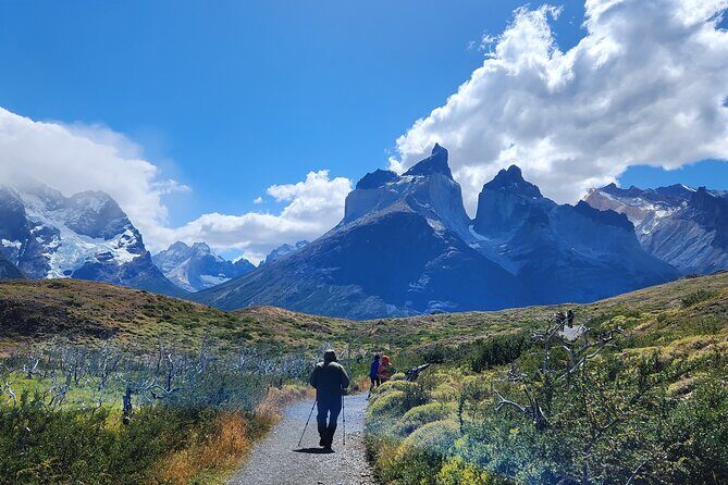 Private Multi-day Guided Tour Torres del Paine - Key Points