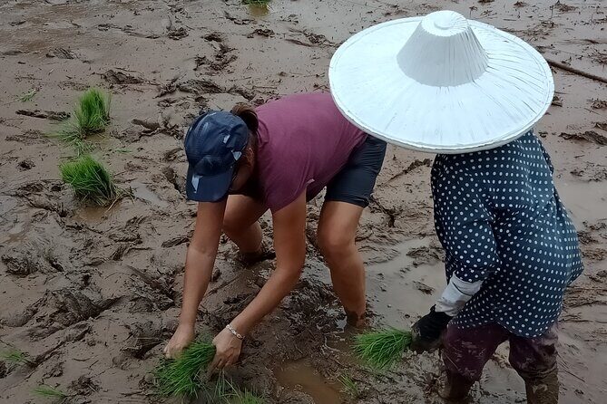 Private Multiday Tour in Minangkabau with accommodation 4 days - Day 4: Market and Return to Padang