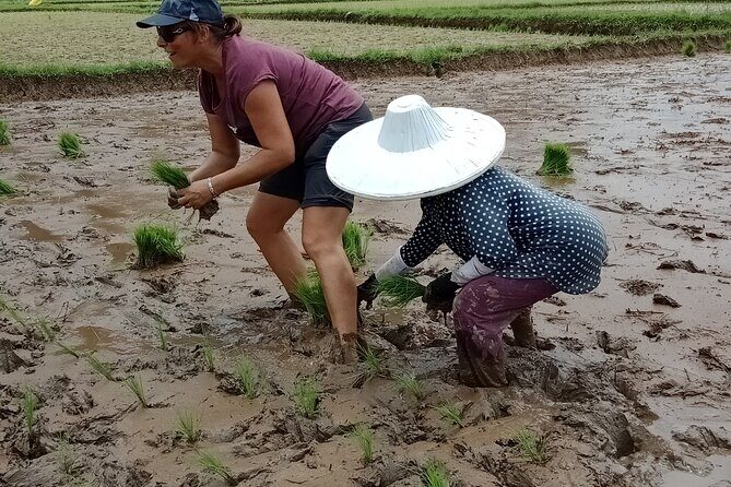 Private Multiday Tour in Minangkabau with accommodation 4 days - Why This Tour Stands Out