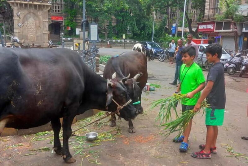 Private Mumbai Sightseeing Tour - A Deep Dive into the Mumbai Private Sightseeing Experience