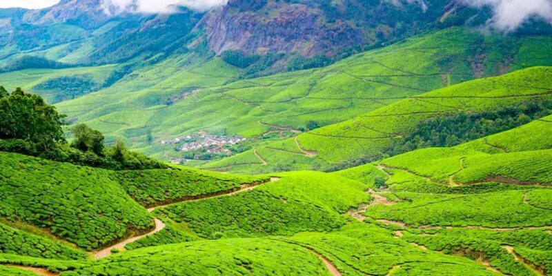 "Private Munnar Day Tour: Trekking & Scenic Highlights" - Key Points