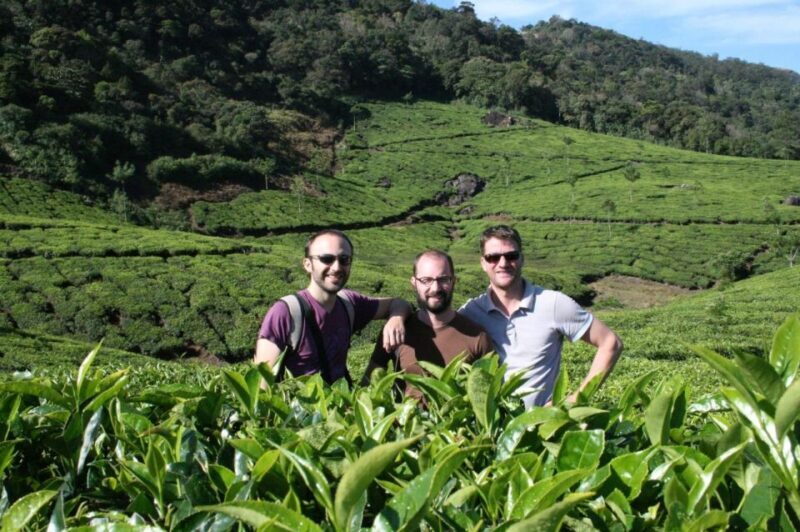 Private Munnar Tea Trek - Key Points