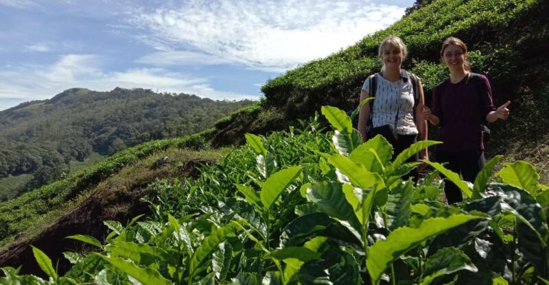 Private Munnar Tea Trek - The Scenic Heights of Lakshmi Hills