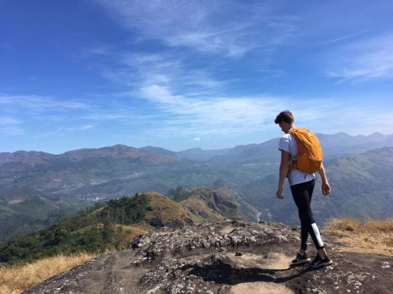 Private Munnar Tea Trek - The Experience Itself: A Detailed Breakdown