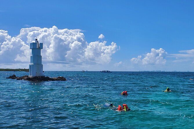 Private MUSA Snorkeling Experience at Isla Mujeres and Cancun - Key Points