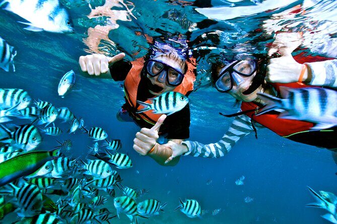 Private MUSA Snorkeling Experience at Isla Mujeres and Cancun - Who Should Book This Tour?