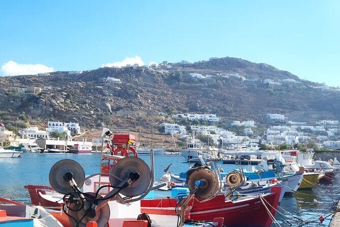 Private Mykonos Airport/Port Luxury Transfer-Taxi - What We Love About the Service