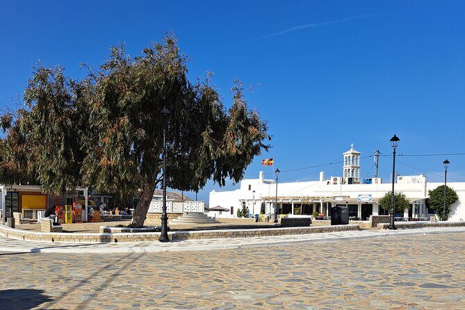 Private Mykonos island sightseeing tour. - Final Thoughts