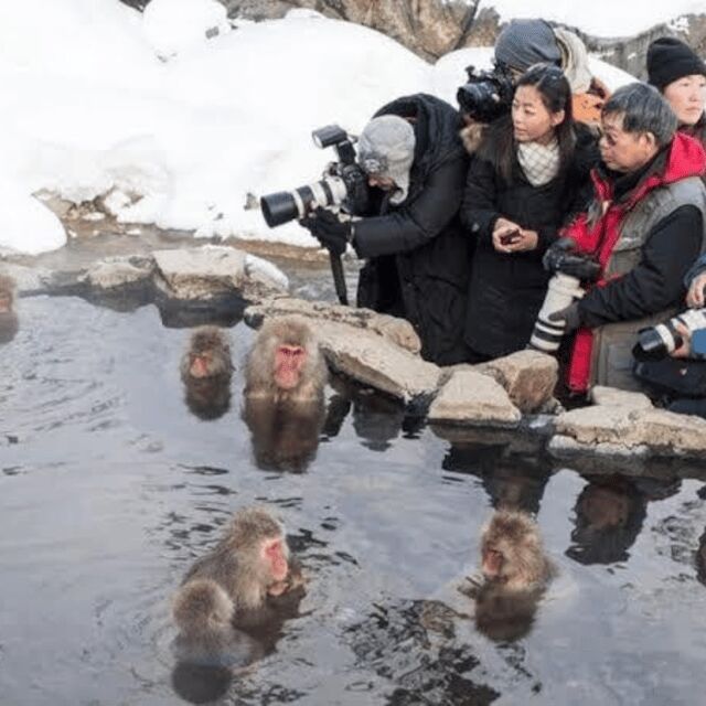 Private Nagano Day Trip: Snow Monkeys & Historic Temples - Experience an authentic day exploring Nagano’s highlights with this private tour, led by friendly guides like Tahseen, Ali, Fahad, and others who make the day seamless and personalized. For $500, you get a full 10-hour journey that covers wild snow monkeys at Jigokudani, the historic Zenko-ji Temple, charming Obuse, relaxing Shibu Onsen, and the Matsushiro Castle Ruins.