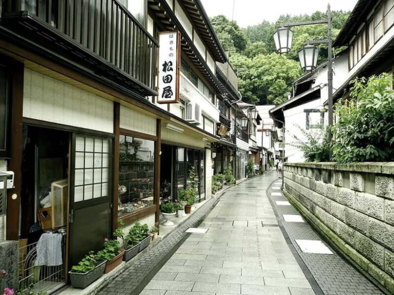 Private Nagano Day Trip: Snow Monkeys & Historic Temples - Who Should Consider This Tour?