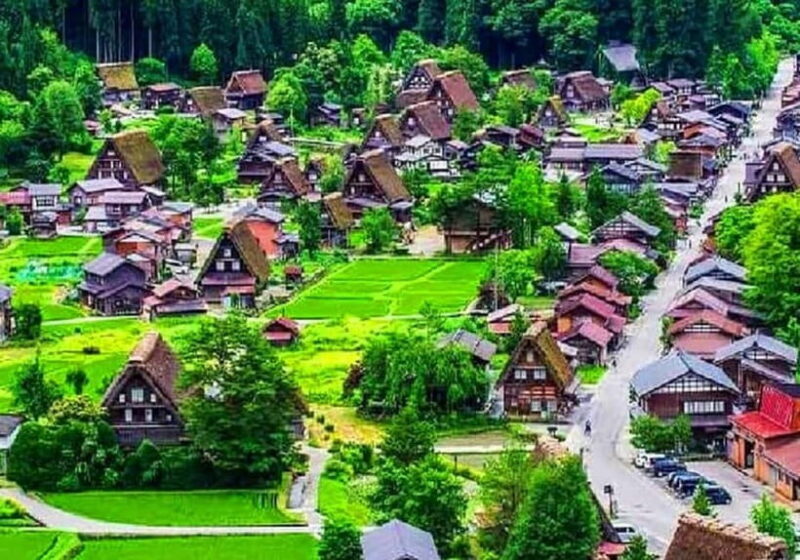 Private Nagoya & Shirakawa-go w/ English Driver - A Detailed Look at the Tour Experience