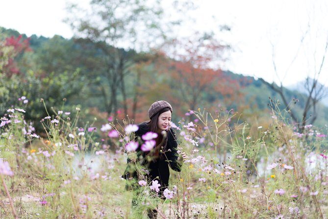 Private Nami Island Photo Shoot and Tour with a Photographer - Potential Considerations