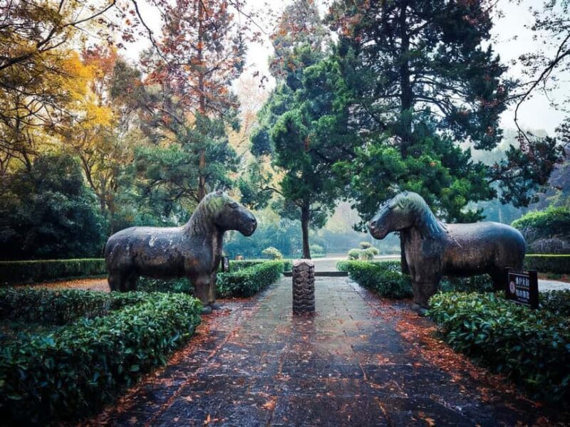 Private Nanjing Day Tour from Shanghai by Bullet Train - Exploring Nanjing in a Day: A Practical, Authentic Guide to the Private Bullet Train Tour