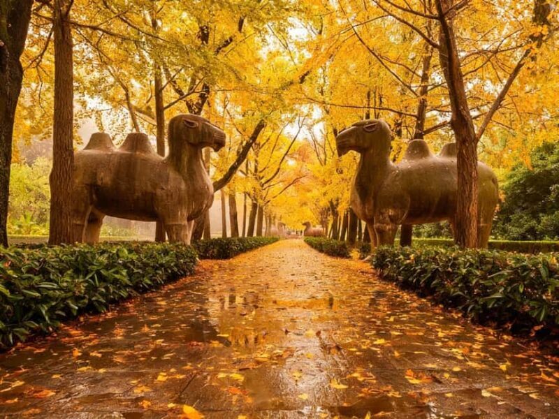 Private Nanjing Day Tour from Shanghai by Bullet Train - What This Tour Means for You