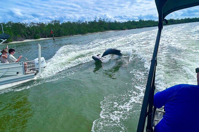 Private Naples Dolphin Watching with breakfast at Port Royal - FAQs