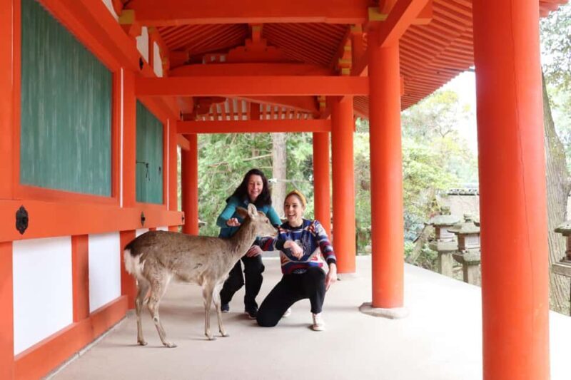 Private Nara Tour & Sake Tasting (Departing from Kyoto/Nara) - Detailed Tour Breakdown