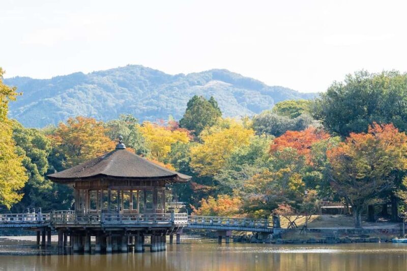 Private Nara Tour: Temples, Deer, and Photo Spots - Exploring Nara: Temples, Deer, and Unique Photo Opportunities