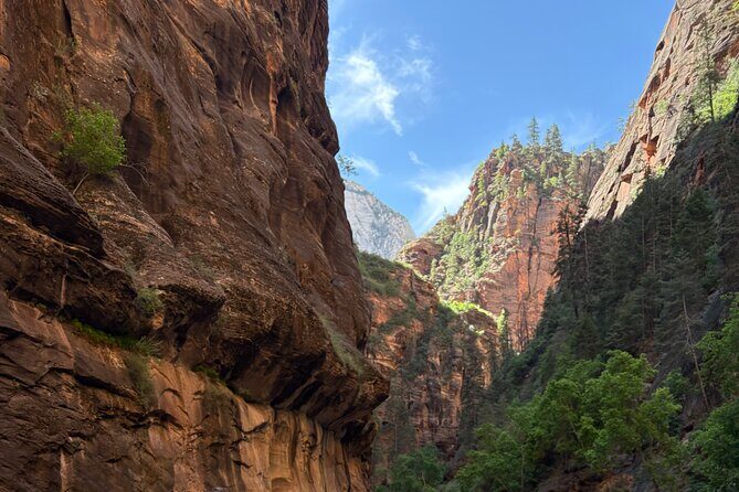 Private Narrows Slot Canyon Hike in Zion Canyon - An In-Depth Look at the Private Narrows Slot Canyon Hike