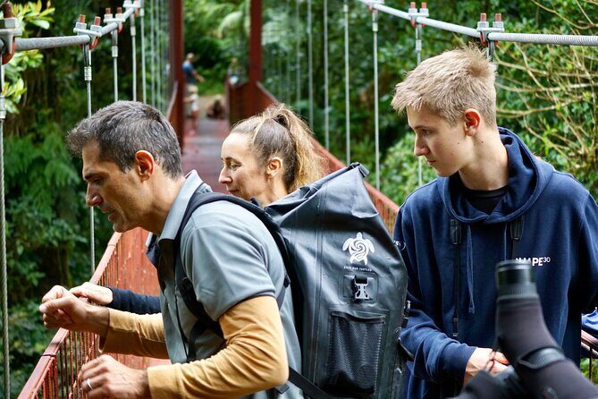 Private Natural History Walk by Pasión Costa Rica - Key Points