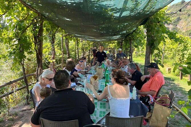 Private Natural Wine Vs Byodinamic and Organic Wine Tour - FAQs