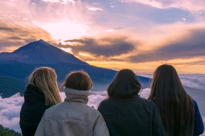 Private nature and culture tour of Teide and northern Tenerife - Practical Details: How the Tour Works