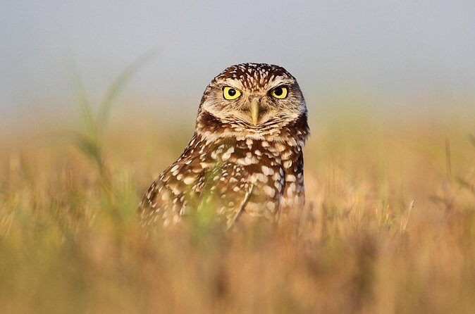 Private Nature Tour for Couples - Who Should Consider This Tour?