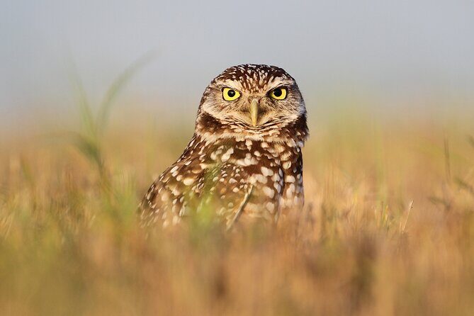 Private Nature Tour for Couples - FAQs