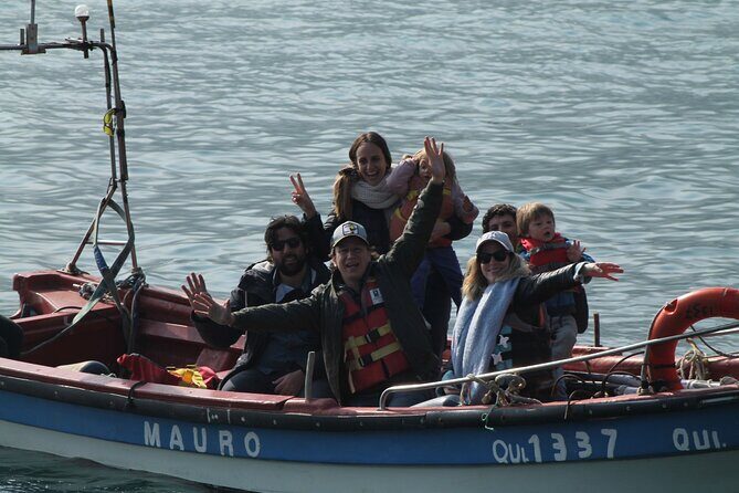Private Nautical Tour Penguin Island, Cachagua, Valparaíso - Price and Value