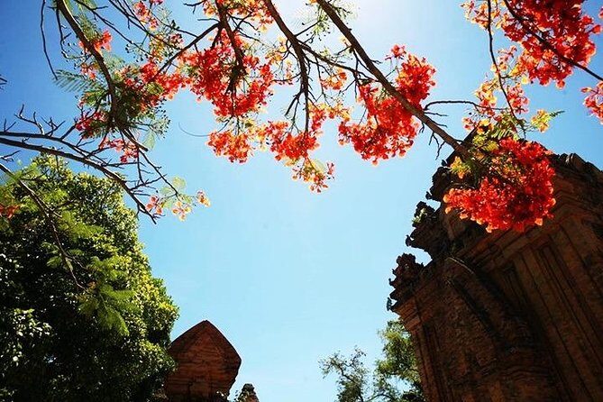 Private Nha Trang city excursion (half day program) - In-Depth Review of the Nha Trang Private Tour