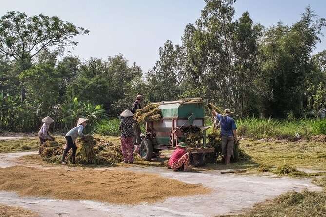 Private Nha Trang Day Tour From Nha Trang Port - Shore Excursion - Who Will Benefit Most?