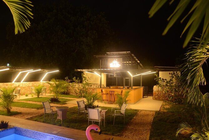 Private Night Tour in Buggy with Party in Punta Cana - An Exciting Night in Punta Cana: Private Buggy Tour with Party