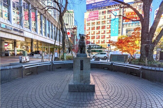 Private Night Walking Tour Shibuya Bar Hopping w. Master Guide - The Value of the Experience