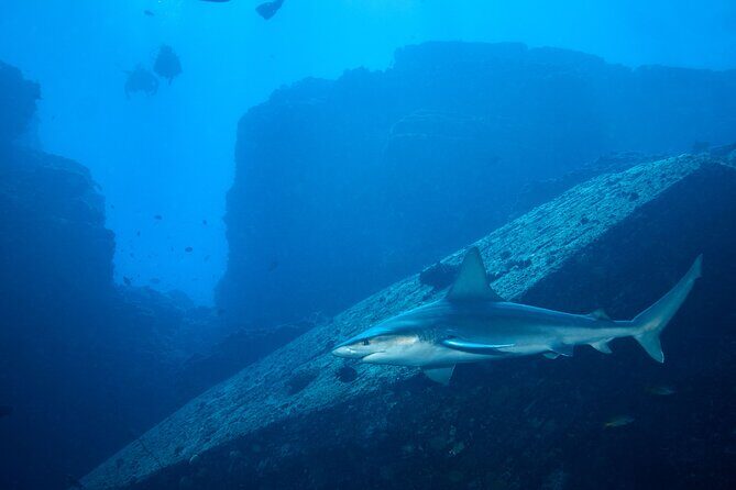 Private Niihau Scuba Charter with 2 or 3 Tank Dive Option - FAQ