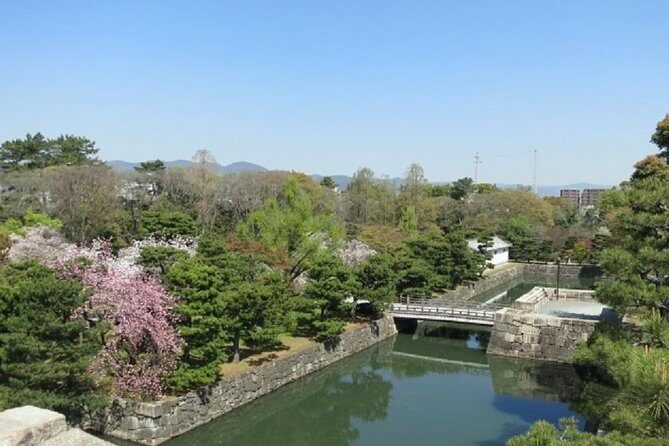 Private Nijo Castle Sightseeing and Nishiki Food Tour - In-Depth Look at the Itinerary