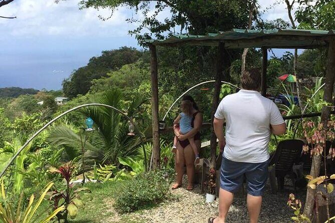 Private North Coast Day Trip - Who Should Consider This Tour?