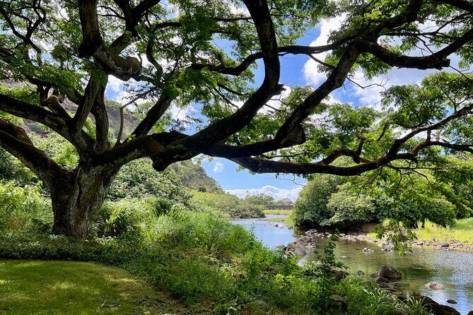 Private North Shore Oahu Tour ft. Waimea Falls-Customizable - A Deep Dive into the North Shore Private Tour